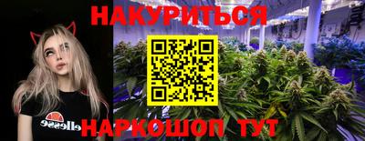 тгк Вышний Волочёк